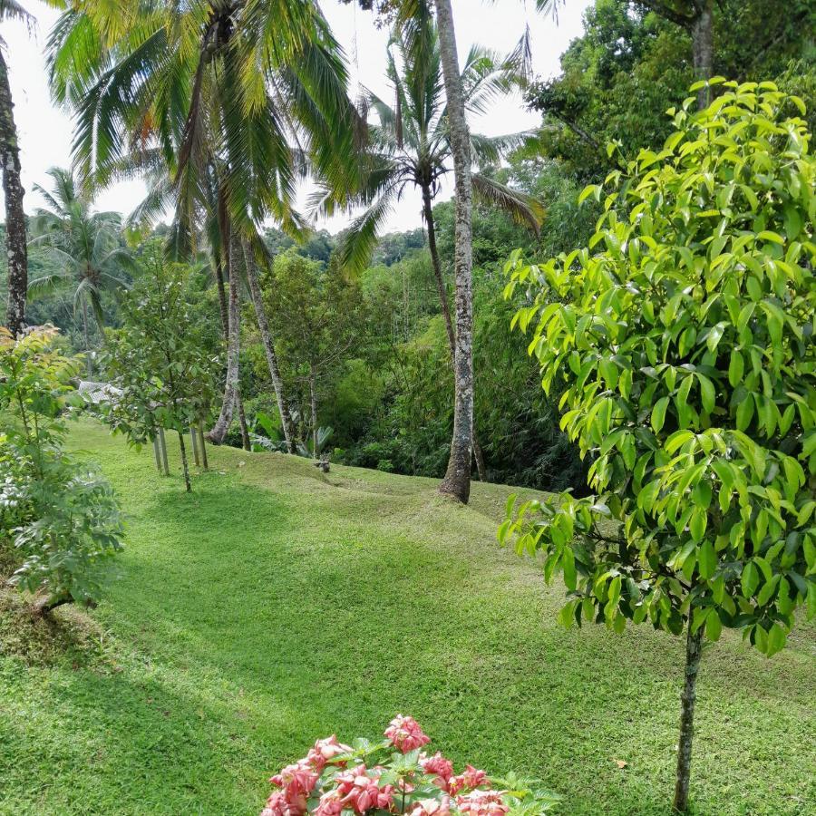 Sugita Wooden House Payangan Exterior foto